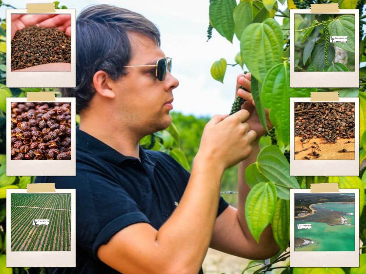 Les épices d'exception by Le Comptoir de Toamasina